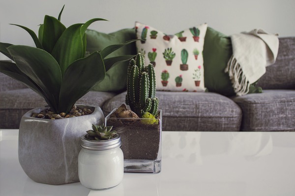 Elevate Your Space with Exquisite Home Decor: A Guide to Timeless Elegance